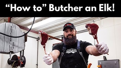 How to Butcher an Elk | Complete Breakdown of all of the Elk Meat | By The Bearded Butchers