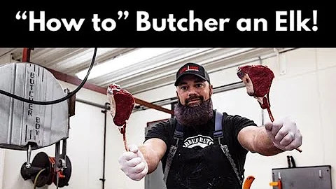 How to Butcher an Elk | Complete Breakdown of all of the Elk Meat | By The Bearded Butchers