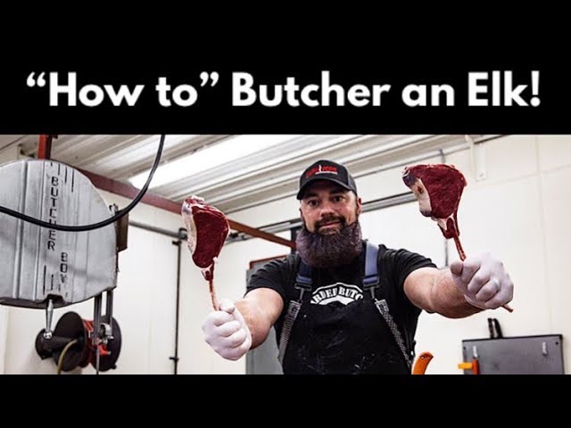 Watch How to Butcher an Elk | Complete Breakdown of all of the Elk Meat | By The Bearded Butchers on YouTube.