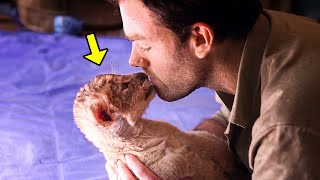 Lion Cub Keeps Kissing This Man, The Reason Will Make You Cry