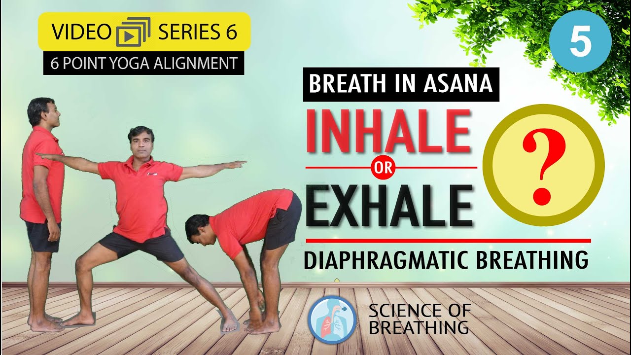 Inhale Or Exhale Asana Breathing When To Breathe In Breathing In Inhale Or Exhale Asana Breathing When To Breathe In Breathing In