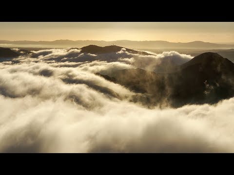 Video: Emissioni di inquinanti nell'atmosfera