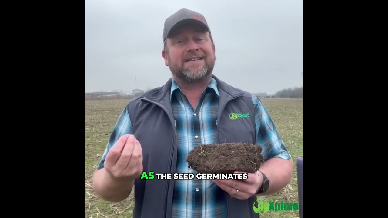 PPFMs Explained: How Plant Beneficial Microbes May Help Defend Corn Roots From CRW Damage