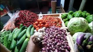 Pengalaman pertama usaha sayuran yg penuh dengan drama.