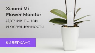 Датчик растений Xiaomi Flower Monitor для умного дома (iOS и Android) - новинка!