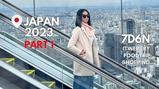 Tokyo, Japan 2023 (Pt1) | Solo Travel : Autumn Experience, Itineraries, Shopping, Don Quijote, etc.