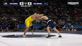 HWT Semifinals: Taye Ghadiali vs Cole Mirasola | 2026 Big Ten Wrestling Championship