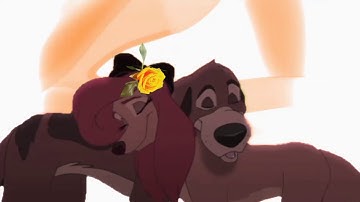 Part 1| Dandelions | Animash MEP ~For ^Northie^