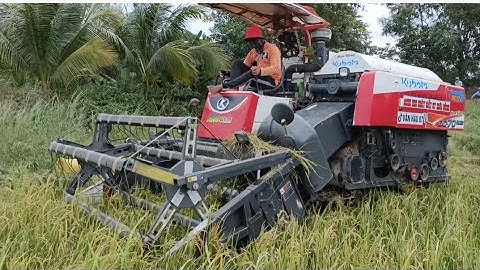 con máy Cắt Lúa 70 binh siêu tốc độ Là đây tập152 #maibangtv