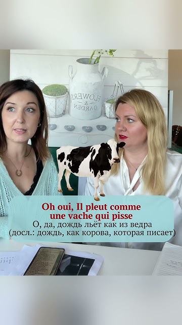 Как сказать - "Льет как из ведра" по-французски | Французский с нуля ...