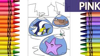 Famous Finding Nemo Coloring | Learning Colors for Kids | Coloring book Net Worth