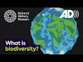 Understanding Biodiversity and Ecosystems