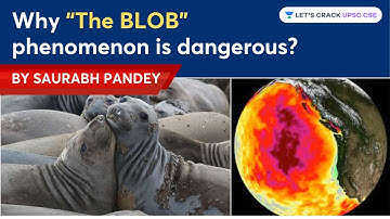 Why “The BLOB” phenomenon is dangerous? | Saurabh Pandey | Let