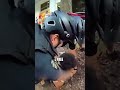 Protesters Block Traffic THEN Cop Pushes Girl... KNIFE Found on Arrest! #bodycam
