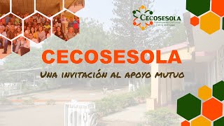 | CECOSESOLA | 