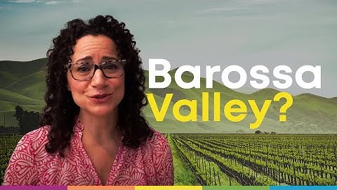 Tips on what to expect from the WSET 3