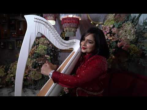 SALLY -Musician/Band Singer using Flute and Harp music instrument with  wedding decoration \u0026 friends
