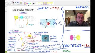 Molecules mindmap (OCR A Level Biology 2.2)