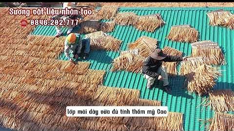 Mái lá nhân tạo lợp mái Homestay