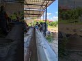 Apply beautiful Cement #asmr #woodworking #cementart #diyideas #building #satisfying #diy #asmr