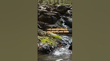 video 3: Embrace Continuous Learning