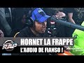 Hornet la frappe ragit  laudio de fianso  planterap