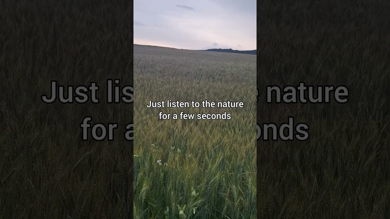 Listen to the peace #asmr #asmrnaturesounds