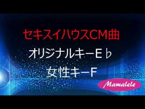 ウクレレ初心者　セキスイハウスCM曲