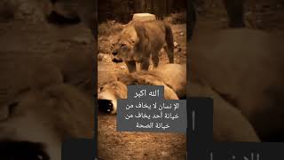 الصحة هي راس المال