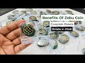 Zibu coin benefits in hindi  power of zibu coin benefits explained  zibu coin benefits