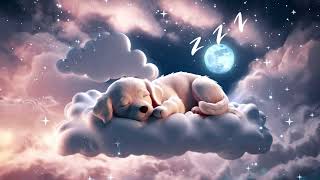 Cute Sleeping Puppy  BABY LULLABY | Classic Piano, Instant sleep | BRAIN DEVELOMPENT