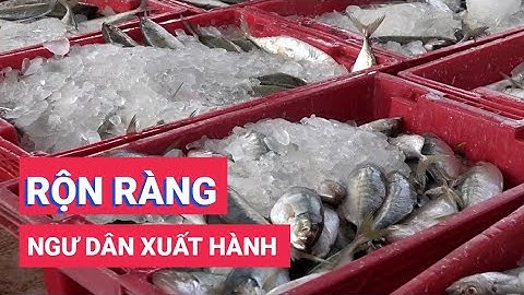 Ngư dân Kiên Giang rộn ràng xuất hành với kỳ vọng 1 năm thắng lợi