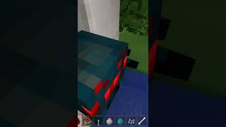 BITTEN by a MEAN SPIDER In Minecraft Game!🕷️🤪