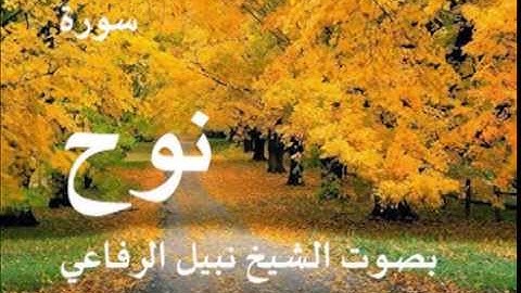 سورة نوح بصوت الشيخ / نبيل الرفاعي 71