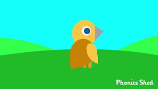 Phonics Shed - Songs - Quinn the Quail