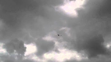 Blade 450 Nose in Inverted Hover