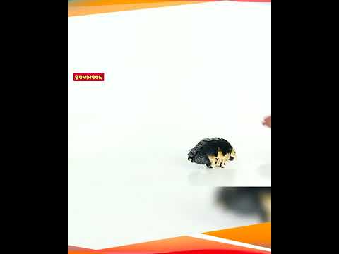 Французские опыты BONDIBON Науки с Буки Робот ежик