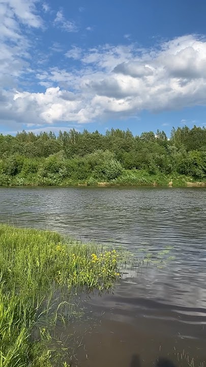 А вы слышите соловья? #жизнь #природа - YouTube