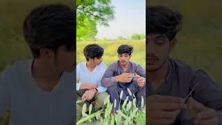 Cigarette pinna ka Faiday #hammadmaken #shorts #tiktok #funnyvideo