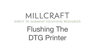 Flushing the RICOH Ri 1000 / RICOH Ri 2000 DTG Printer