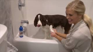 Adams Flea and Tick at Walmart for My Sweet Pup