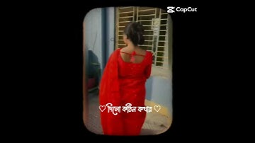 চলনা সুজন । Cholna Sujon - Lofi Remix। Siam & Toya