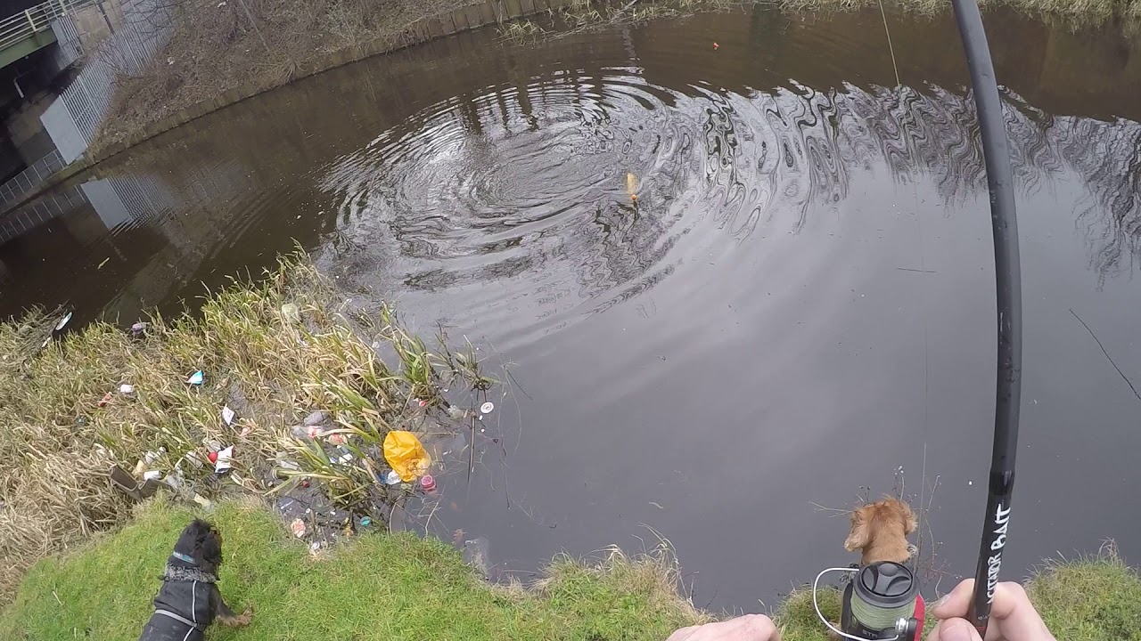 Pike fishing sheffield canal YouTube