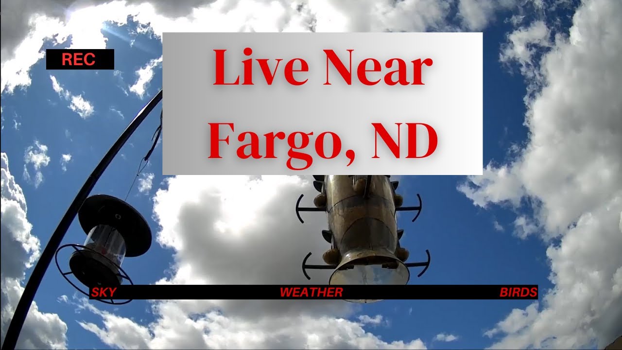 Live Sky and Bird Camera Near Fargo, ND Soft Music YouTube