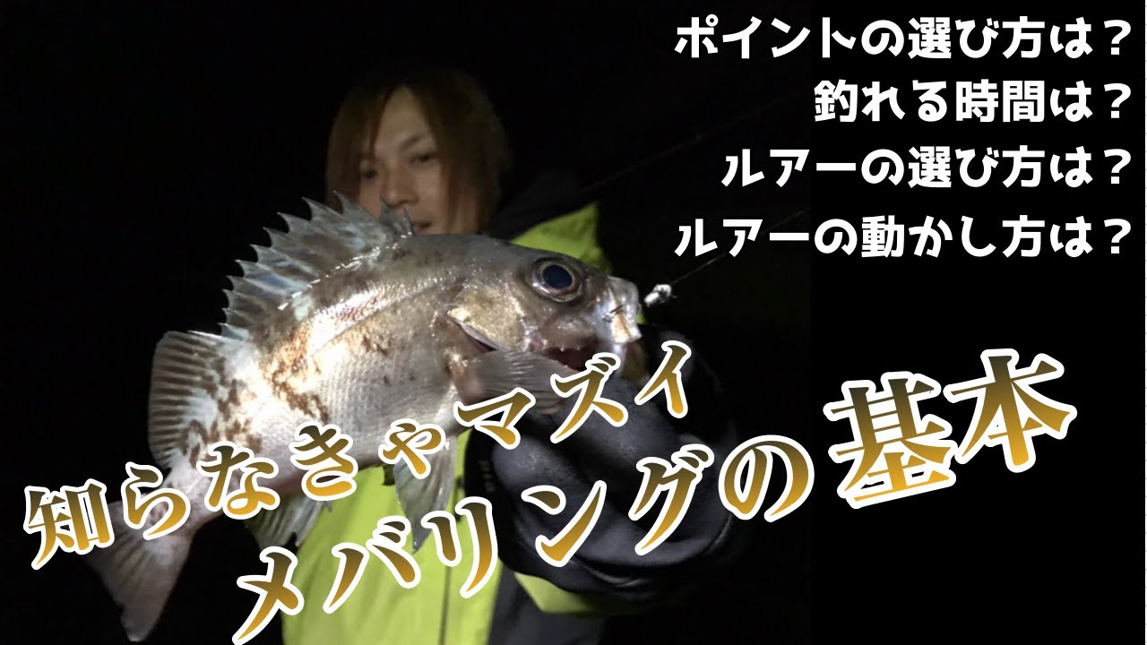 メバリングはポイントとタイミングが8割 メバルを釣る たった2つだけのキモ Tsuri Hack 日本最大級の釣りマガジン 釣りハック