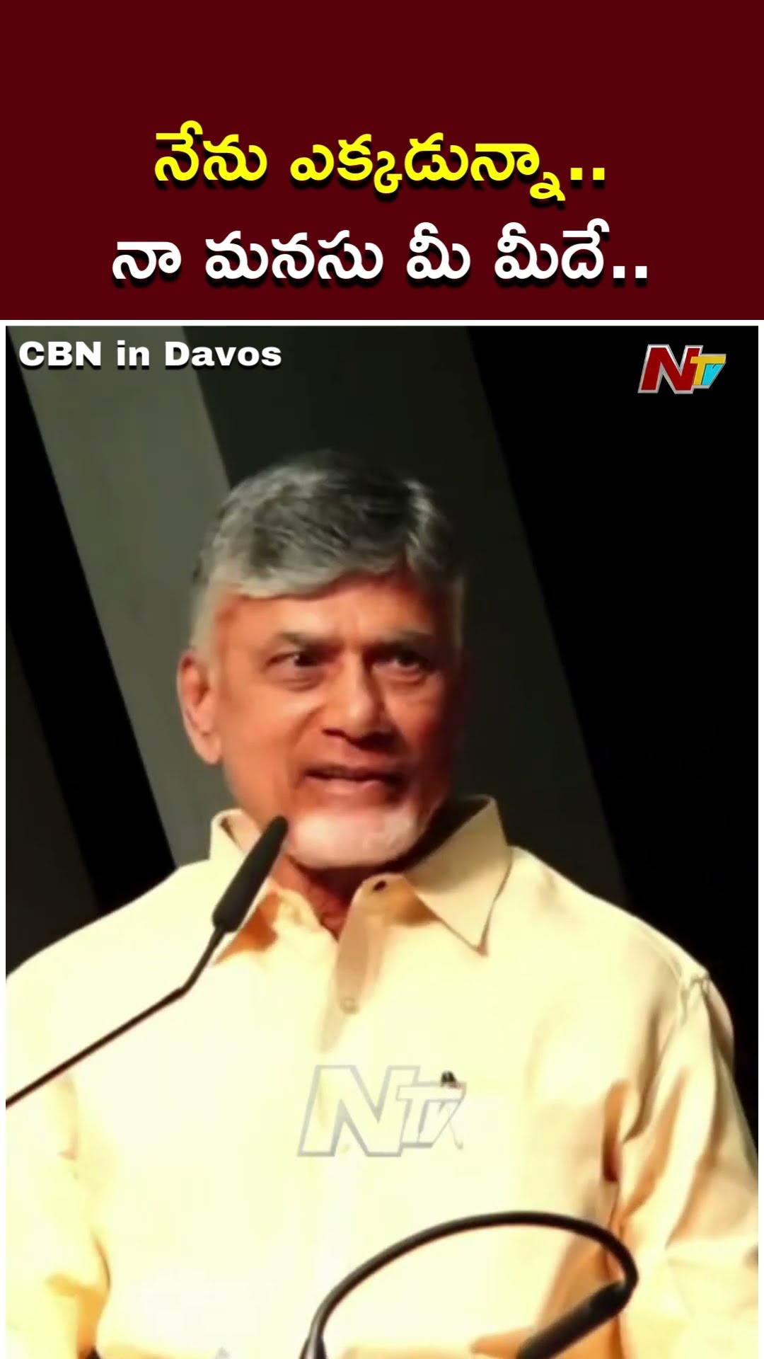 CM Chandrababu Express Love On Telugu NRI's | CBN In Davos | Ntv