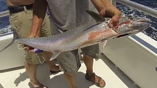 Great deep sea fishing day at Panama City Beach