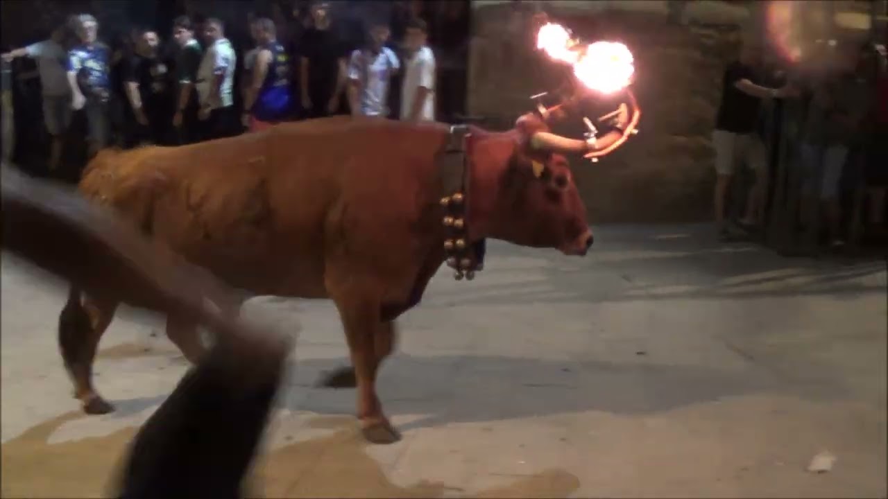 OLBA  EN TERUEL - FIESTAS 2025  - DOS TOROS EMBOLADOS