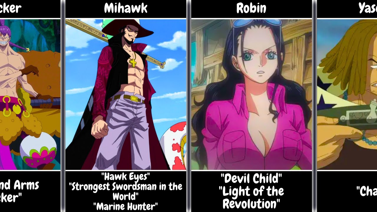 Epithets of One Piece Characters 3/3 One Piece YouTube