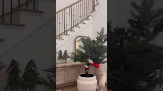 Christmas tree in a pot hack #christmastree2022 #christmasdecor #christmastree